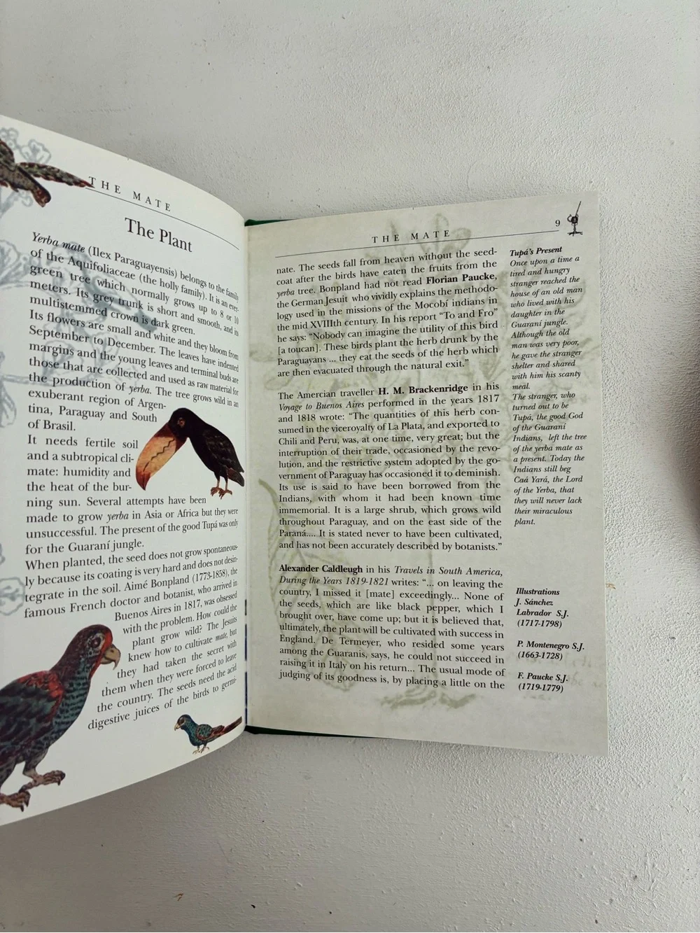 The Mate Small Hardcover Book — Green & Cream Cover